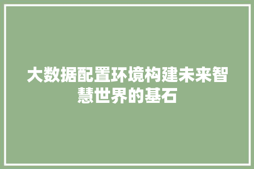 大数据配置环境构建未来智慧世界的基石