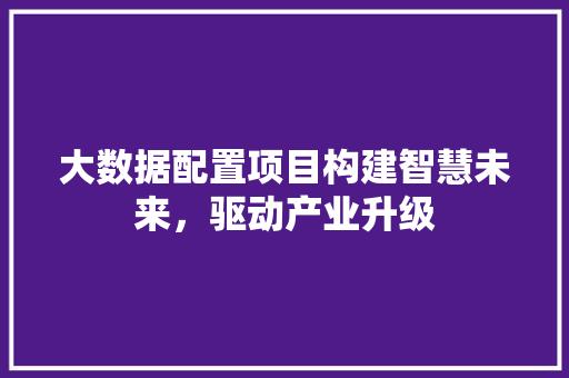 大数据配置项目构建智慧未来，驱动产业升级