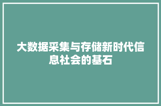 大数据采集与存储新时代信息社会的基石
