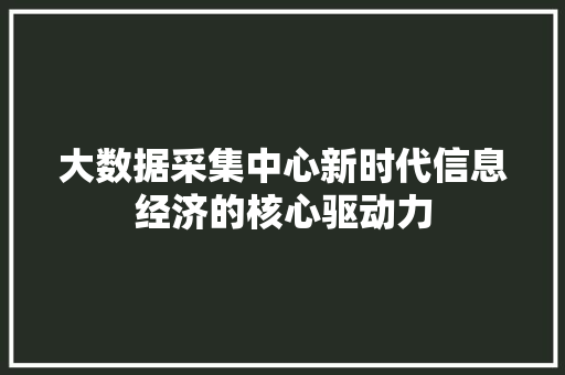 大数据采集中心新时代信息经济的核心驱动力