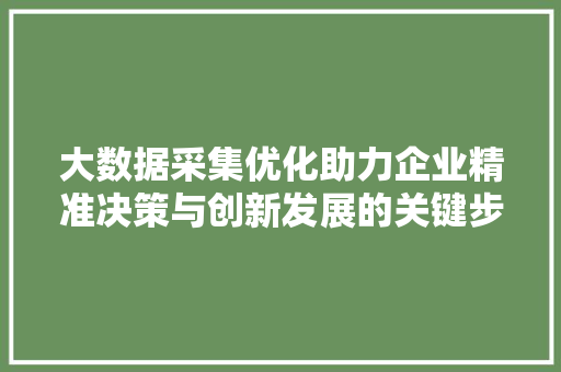 大数据采集优化助力企业精准决策与创新发展的关键步骤