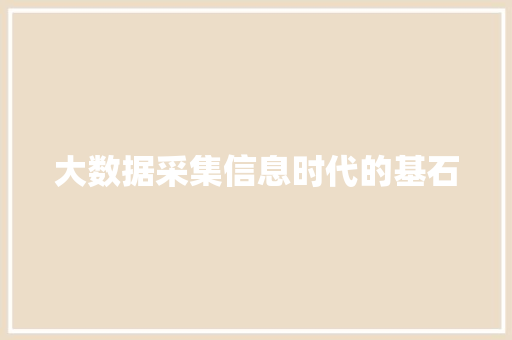 大数据采集信息时代的基石