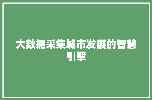 大数据采集城市发展的智慧引擎