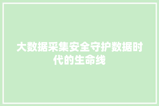 大数据采集安全守护数据时代的生命线