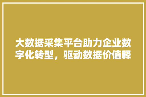 大数据采集平台助力企业数字化转型，驱动数据价值释放