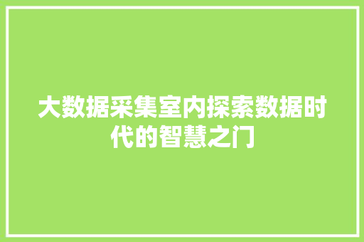 大数据采集室内探索数据时代的智慧之门