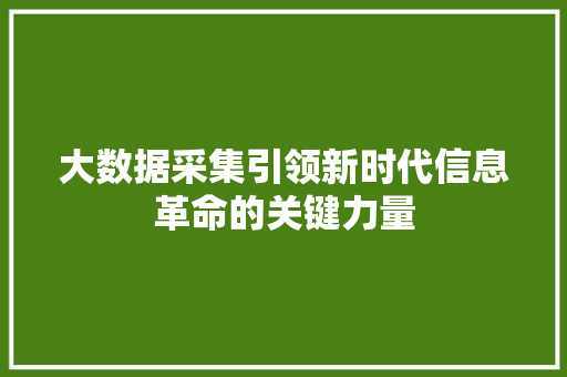 大数据采集引领新时代信息革命的关键力量
