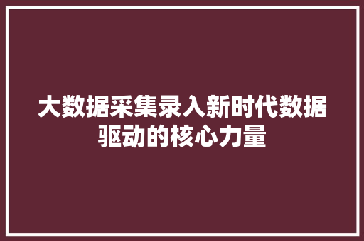 大数据采集录入新时代数据驱动的核心力量