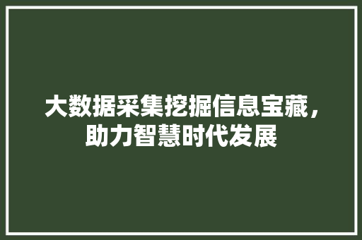 大数据采集挖掘信息宝藏，助力智慧时代发展