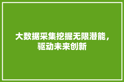 大数据采集挖掘无限潜能，驱动未来创新