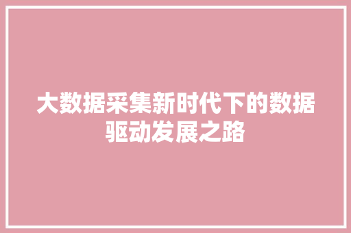 大数据采集新时代下的数据驱动发展之路