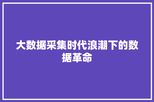 大数据采集时代浪潮下的数据革命