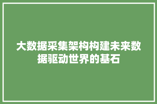 大数据采集架构构建未来数据驱动世界的基石
