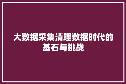 大数据采集清理数据时代的基石与挑战