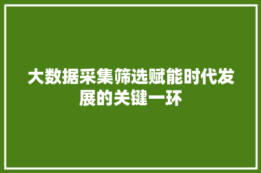 大数据采集筛选赋能时代发展的关键一环