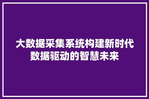 大数据采集系统构建新时代数据驱动的智慧未来
