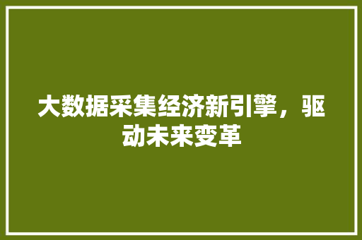 大数据采集经济新引擎，驱动未来变革