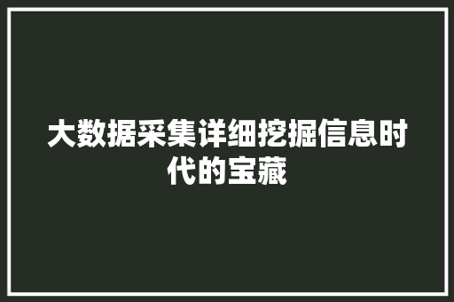 大数据采集详细挖掘信息时代的宝藏