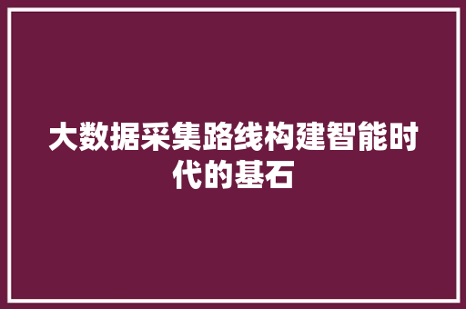 大数据采集路线构建智能时代的基石