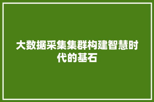 大数据采集集群构建智慧时代的基石