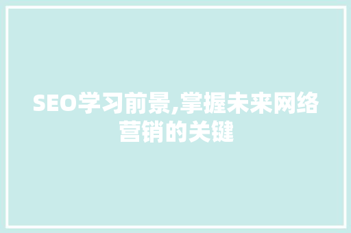 SEO学习前景,掌握未来网络营销的关键 项目报告