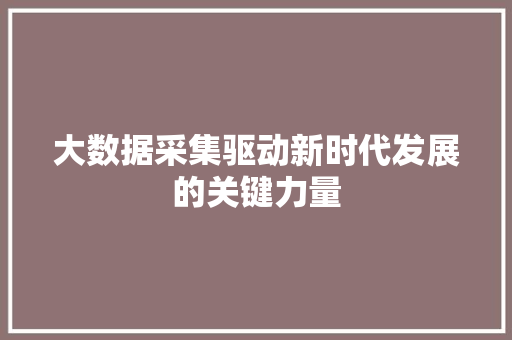 大数据采集驱动新时代发展的关键力量
