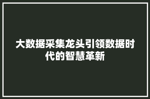大数据采集龙头引领数据时代的智慧革新
