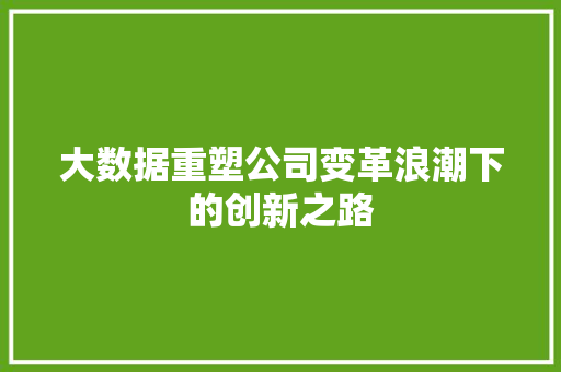 大数据重塑公司变革浪潮下的创新之路