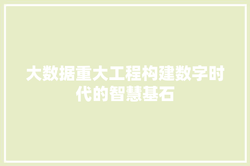 大数据重大工程构建数字时代的智慧基石