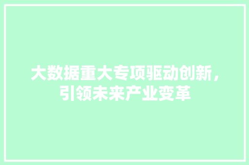 大数据重大专项驱动创新，引领未来产业变革