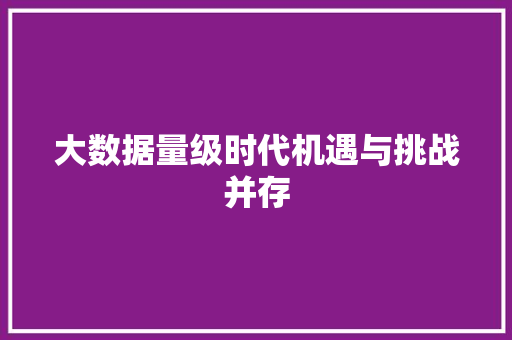 大数据量级时代机遇与挑战并存