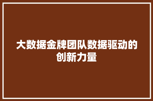 大数据金牌团队数据驱动的创新力量