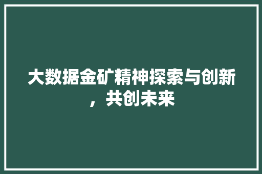 大数据金矿精神探索与创新，共创未来