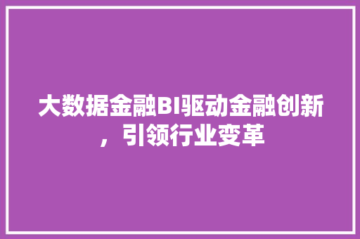 大数据金融BI驱动金融创新，引领行业变革