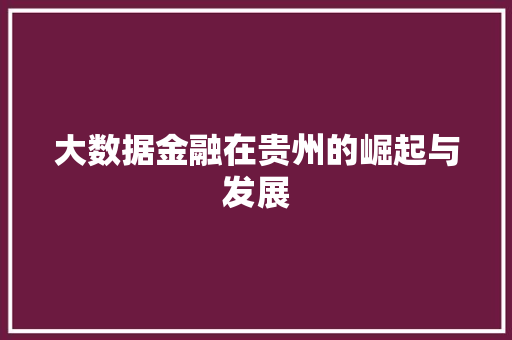 大数据金融在贵州的崛起与发展