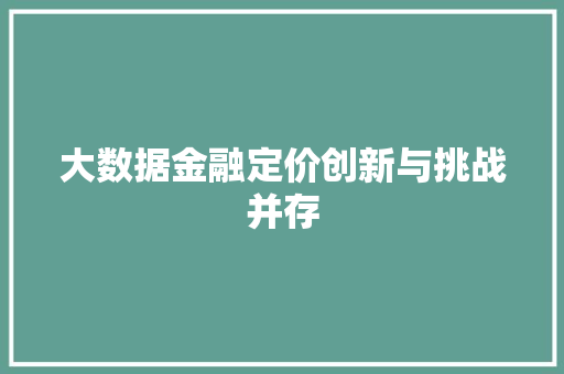 大数据金融定价创新与挑战并存