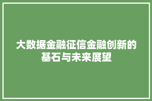 大数据金融征信金融创新的基石与未来展望