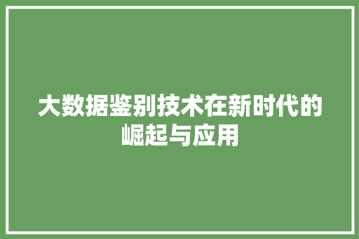 大数据鉴别技术在新时代的崛起与应用