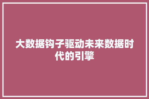 大数据钩子驱动未来数据时代的引擎
