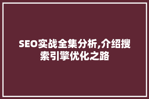 SEO实战全集分析,介绍搜索引擎优化之路 网站建设