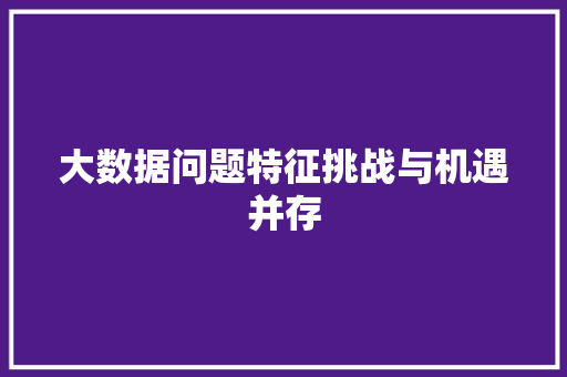 大数据问题特征挑战与机遇并存