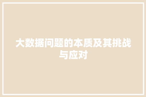 大数据问题的本质及其挑战与应对