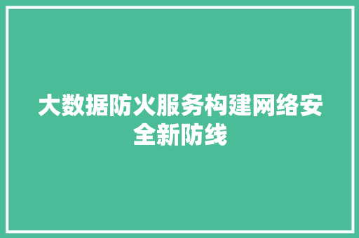 大数据防火服务构建网络安全新防线