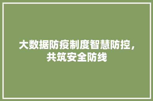大数据防疫制度智慧防控，共筑安全防线