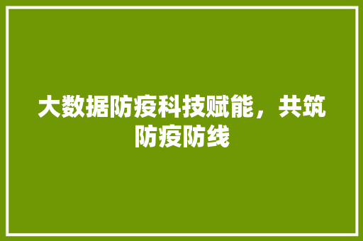 大数据防疫科技赋能，共筑防疫防线