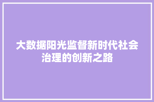 大数据阳光监督新时代社会治理的创新之路