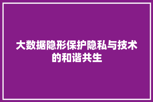 大数据隐形保护隐私与技术的和谐共生