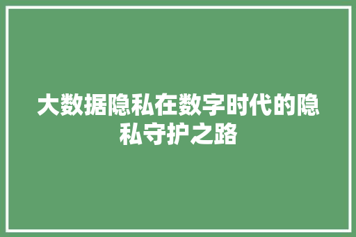 大数据隐私在数字时代的隐私守护之路