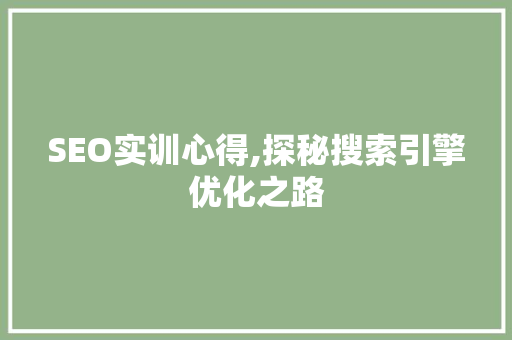 SEO实训心得,探秘搜索引擎优化之路
