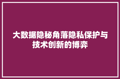 大数据隐秘角落隐私保护与技术创新的博弈